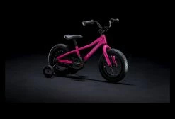 Vélo Enfant Trek Precaliber 12'' Flamingo Pink 2022 13 Vélo Enfant Trek Precaliber 12'' Flamingo Pink 2022 -Vélos Soldes Boutique 12022705de7bd32117509.08910873