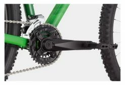 VTT Semi-Rigide Cannondale Trail 7 29 Shimano Acera/Altus 9V 29'' Vert -Vélos Soldes Boutique 16653415f22cbafdd2d89.79885372